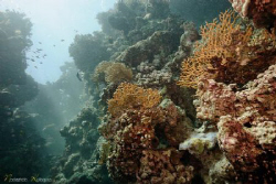 The bowl of the Blue Hole, Dahab by Nadya Kulagina 